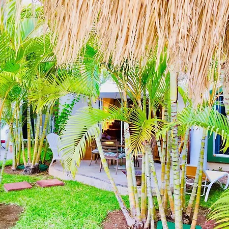 Playacar-2