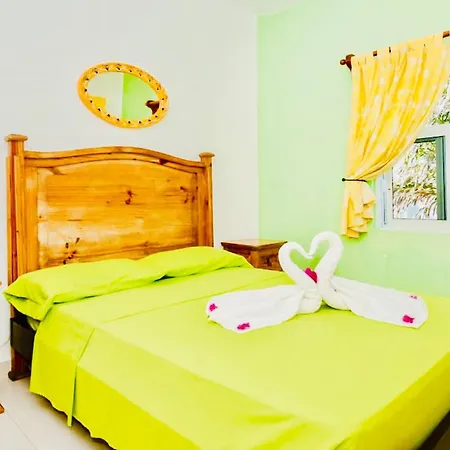 Gorgeous 22 People Villa With Pool Playacar Phase 2-3