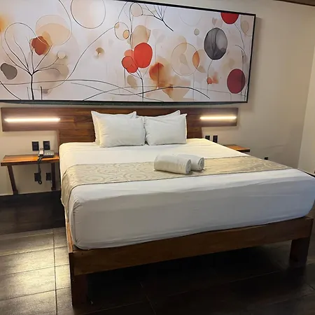 Hotel Kavia 5Th Avenida (Adults Only)-2