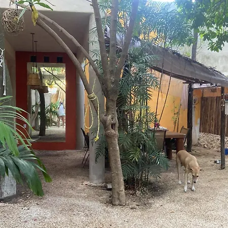 Quinta Salamandra-3
