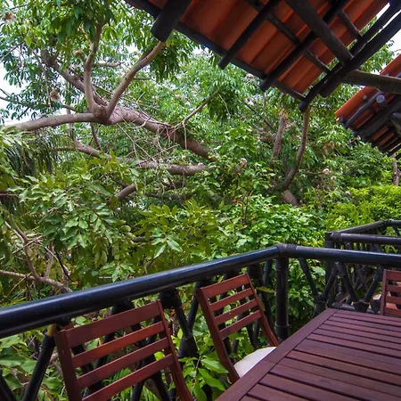 Charming Authentic Mexico-Walk To Beach & 5Th Ave!-3