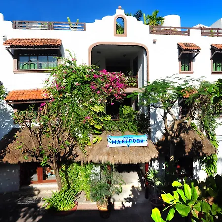 Posada Mariposa Boutique Hotel - 5Th Avenue-3