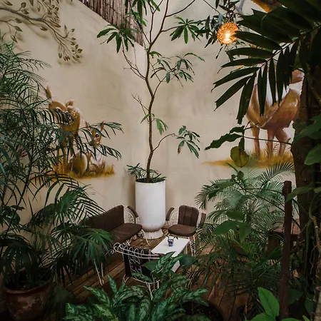 Hotel La Semilla A Member Of Design Hotels (Adults Only)-2