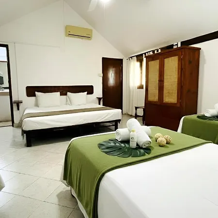 Hotel B&B - Playa Del Carmen-3