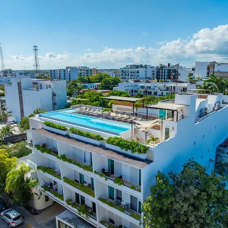 Papaya 15 Apartments-3