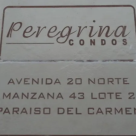 Vida Nueva Bed&Breakfast Peregrina-2