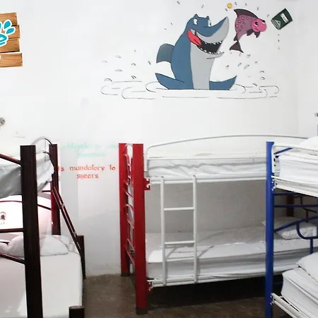 Hostal Vive La Vida-3