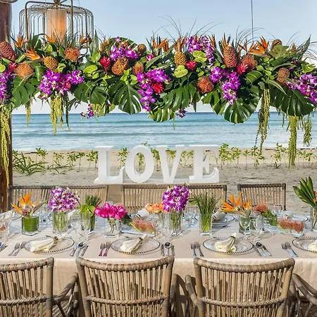 Ocean Riviera Paradise Privilege (Adults Only)-3