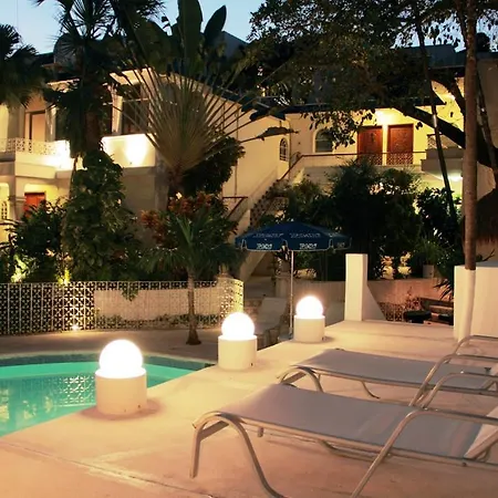 Tropical Casablanca Party Zone-3