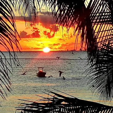 Sunshine Suite-3