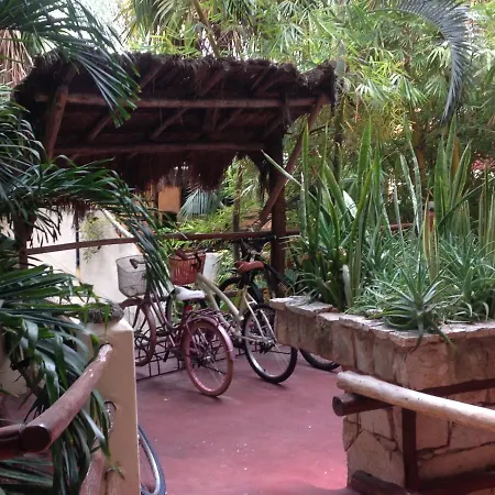 One Bedroom Apt In The Heart Of Playa Only One Block To The Beach-2