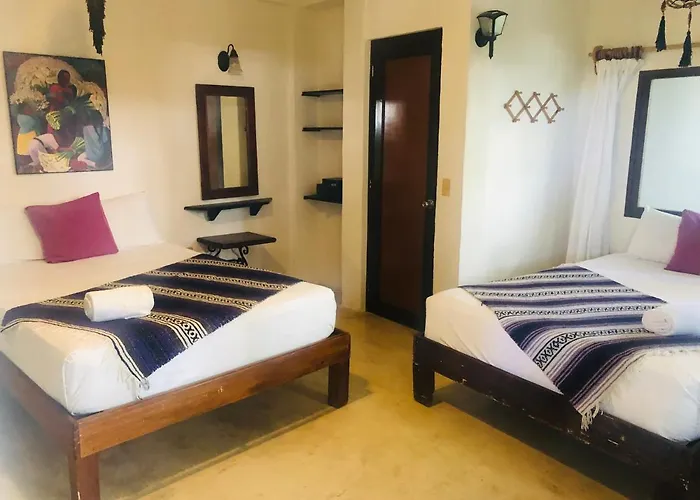 Siesta Fiesta Apartments By Bawa Playa del Carmen acceptant les animaux