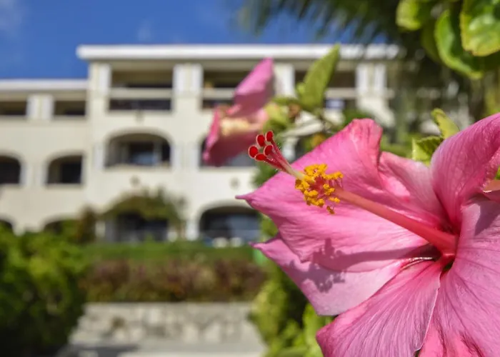 Perfect For Couples Relaxing Xaman Ha Oceanfront 1 Bedroom Xh7110 Playa del Carmen que aceita animais de estimação