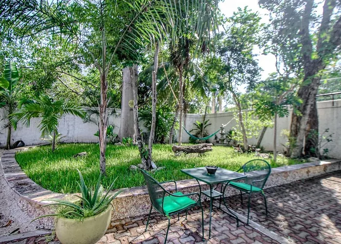 Urban Eden Playa del Carmen que aceita animais de estimação