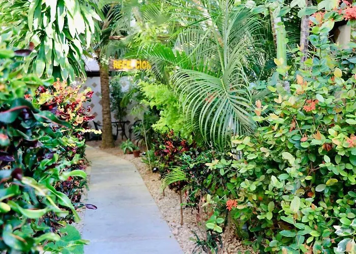 Huisdiervriedelijke Nice Studio On 10Th Avenue,1 Min Walk To The Beach H3 Playa del Carmen