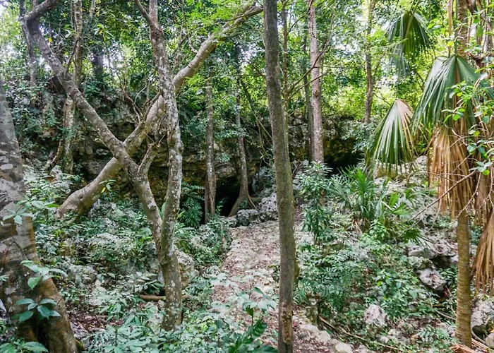 Huisdiervriedelijke Casa Playa Hermosa En Playa Del Carmen Villa