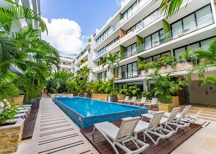 The City Playa Playa del Carmen acceptant les animaux
