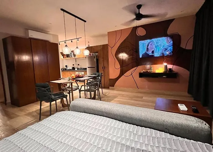 Departamento Estudio Con Hermosos Murales Playa del Carmen que aceita animais de estimação