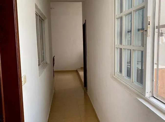 Olympia House Appartamento Playa del Carmen che accetta animali