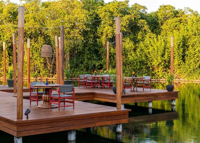 Hondvriendelijke hotels in Playa del Carmen