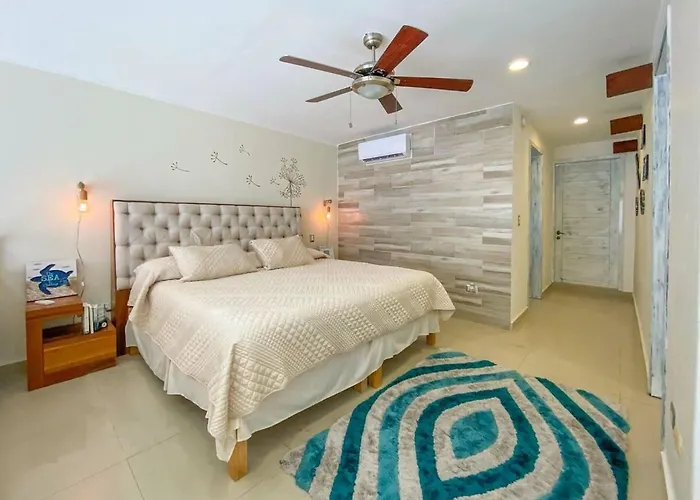 Downtown Loft, 5Min To 5Th Ave & Beach Playa del Carmen che accetta animali
