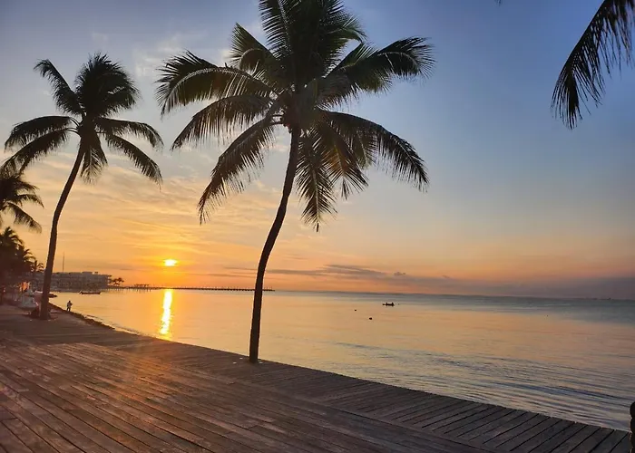 Aparthotel Ocean Front El Faro Reef 304 Playa del Carmen admite animales
