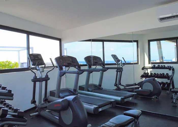 2 Story With Spatub, Oceanview Roof Pool & Gym Onsite Playa del Carmen acceptant les animaux