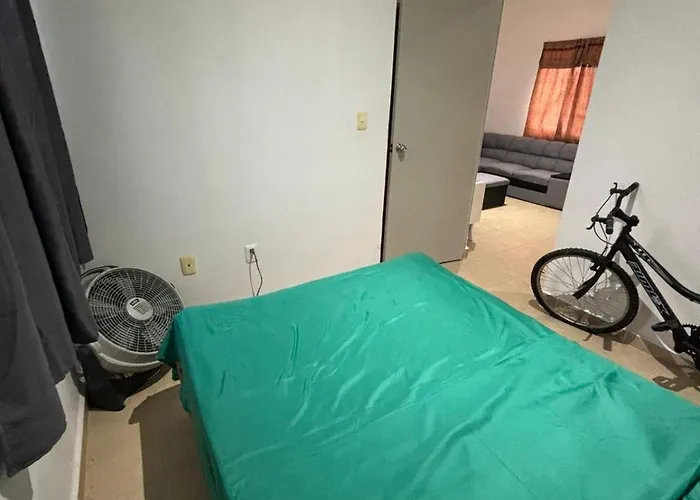 Well Room Real Bilbao Playa del Carmen admite animales