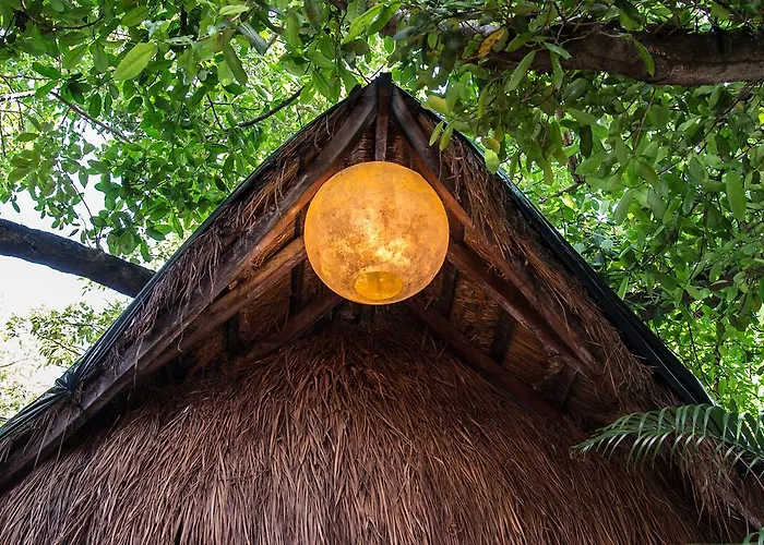 Hotel Blue Parrot On 5Th Avenue Playa del Carmen
