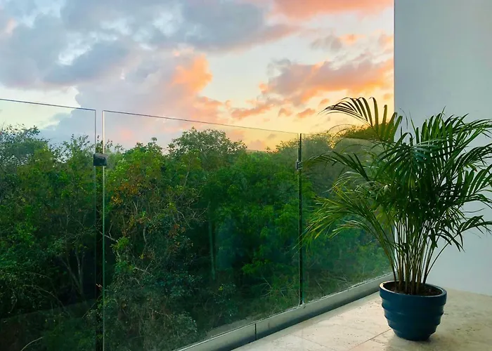 Huisdiervriedelijke Ideal Location Steps From The Beach Appartement Playa del Carmen